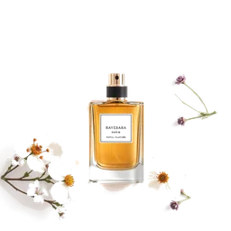 Note olfactive de cœur ravensara dans le parfum Paradis Perdu