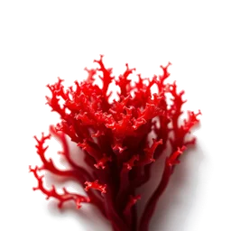 Pictogramme ingrédient olfactif : Red Algae