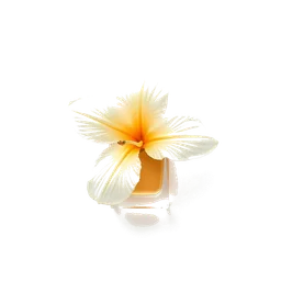 Note olfactive de cœur riz fleur dans le parfum LOV | U Together
