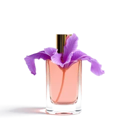 Note olfactive de tête riz dans le parfum Romance D Iris