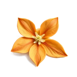 Pictogramme ingrédient olfactif : Sandalwood Flower