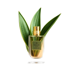 Note olfactive de tête Sansevieria dans le parfum Superior Morion
