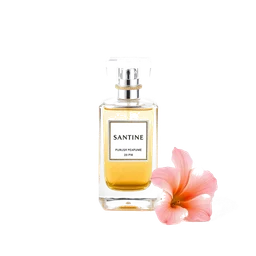 Note olfactive de tête santoline dans le parfum Robinson Bear