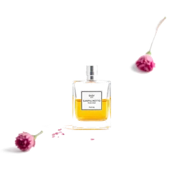 Note olfactive de cœur sawpalmetto dans le parfum Fitnessence