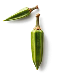 Pictogramme ingrédient olfactif : Seed Okra or Gumbo