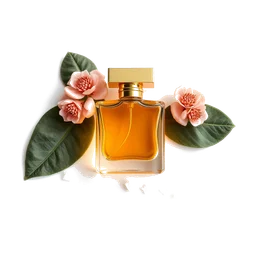 Note olfactive de fond serenolide dans le parfum Prada Paradoxe Intense