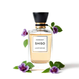 Note olfactive de tête shiso dans le parfum Eau Parfumee Au The Bleu