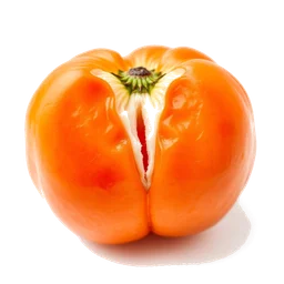 Pictogramme ingrédient olfactif : Sicilian Mandarin