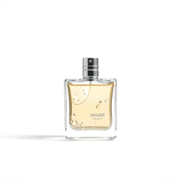 Note olfactive de tête Silver dans le parfum Hitoiki Tsuitara / ひと息ついたら