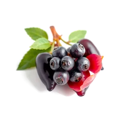 Note olfactive de tête Silverberry dans le parfum Inule K’Iris Royal