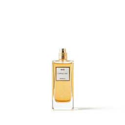 Note olfactive de tête Sparkling Accord dans le parfum Golden Queen
