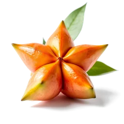 Note olfactive de tête Star Fruit dans le parfum Brise Minérale