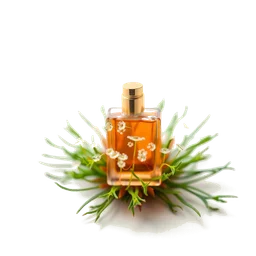Note olfactive de cœur Sundew dans le parfum Spring (Побег)