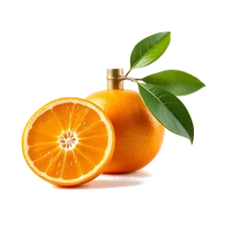 Note olfactive de tête tangerine dans le parfum Winter Collection
