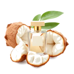 Note olfactive de cœur Tapioca dans le parfum Dạ Yến
