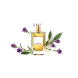 Note olfactive de cœur térébinthe dans le parfum Clean For Men White Vetiver