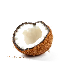 Note olfactive de tête Toasted Coconut dans le parfum Monique Très Chic