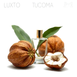 Note olfactive de cœur tucuma dans le parfum Frescor Tukuma