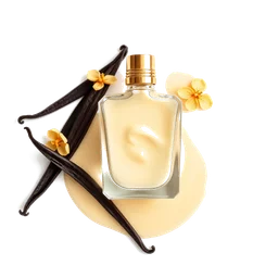 Note olfactive de fond Vanilla Sauce dans le parfum Vanilla Ash