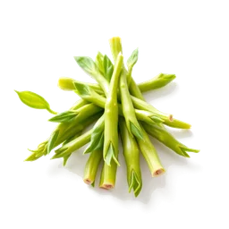 Note olfactive de tête wasabi dans le parfum Ck2