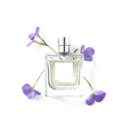 Note olfactive de cœur Water Heliotrope dans le parfum Dopamine