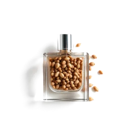 Note olfactive de cœur Wattleseed dans le parfum Nativus Spiritus