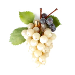 Note olfactive de tête White Grape dans le parfum Look of Love