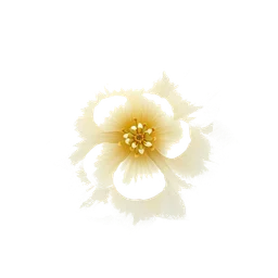 Note olfactive de fond White Lace Flower dans le parfum Inule K’Iris Royal