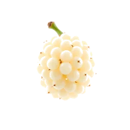 Note olfactive de tête White Mulberry dans le parfum Comedìa Di Mezza Estate